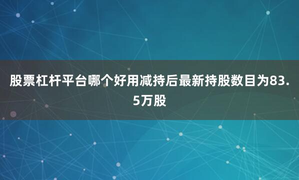 股票杠杆平台哪个好用减持后最新持股数目为83.5万股