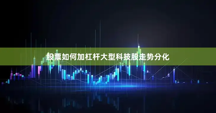 股票如何加杠杆　　大型科技股走势分化