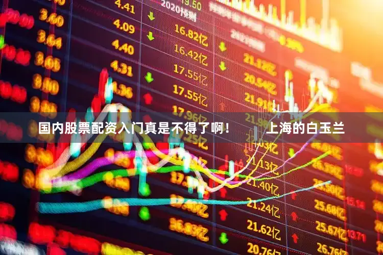 国内股票配资入门真是不得了啊！        上海的白玉兰
