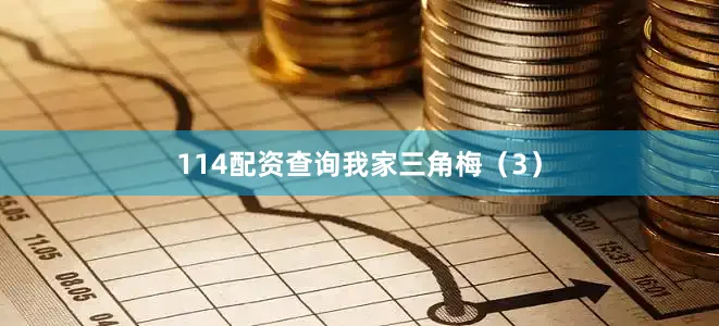 114配资查询我家三角梅（3）