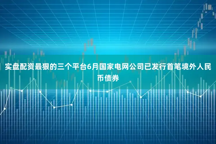 实盘配资最狠的三个平台6月国家电网公司已发行首笔境外人民币债券