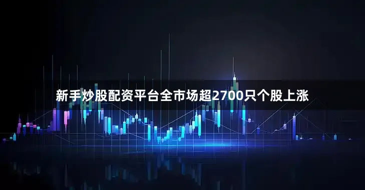 新手炒股配资平台全市场超2700只个股上涨