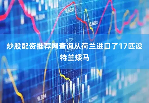 炒股配资推荐网查询从荷兰进口了17匹设特兰矮马