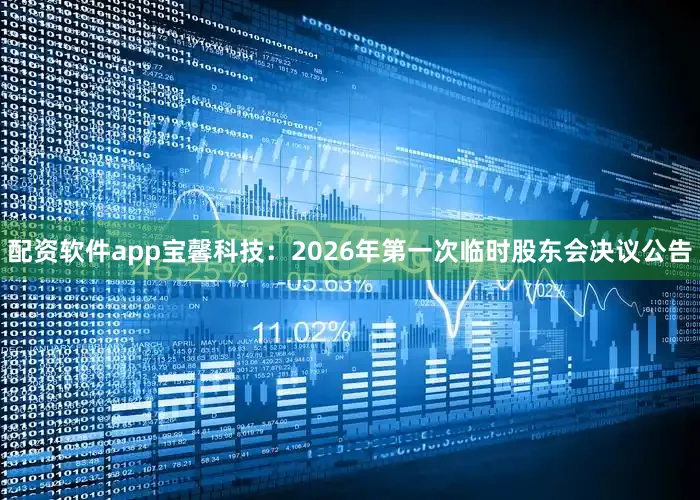 配资软件app宝馨科技：2026年第一次临时股东会决议公告